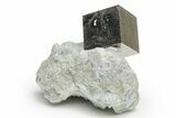Natural Pyrite Cube In Rock - Navajun, Spain #218981-1